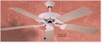 patio fan.jpg (39637 bytes)