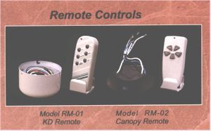 remote controls.jpg (11646 bytes)
